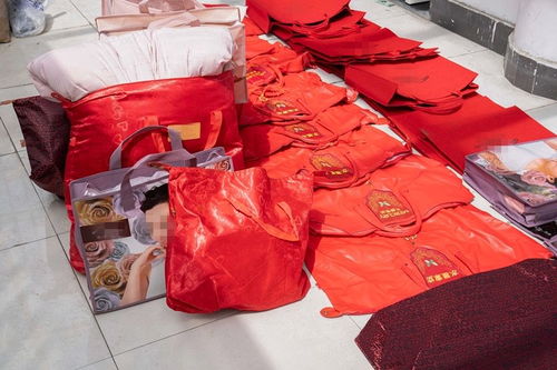 低至四折的明星產品藏貓膩 水星家紡大豆被遭仿冒，上海警方搗毀偽劣羽絨制品窩點