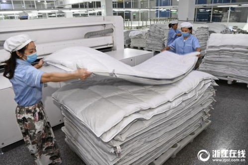 杭州羽絨制品走俏海外，匠心工藝引領全球市場新潮流